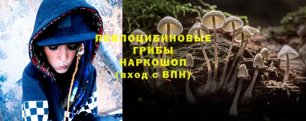 дживик Заволжье