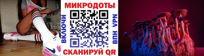Купить  Белёв  Галлюциногенные грибы Psilocybine cubensis 